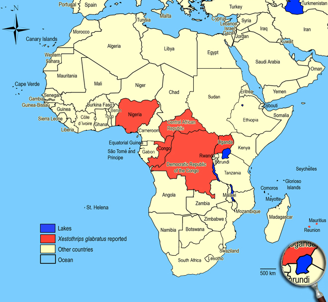 Distibution Map Africa